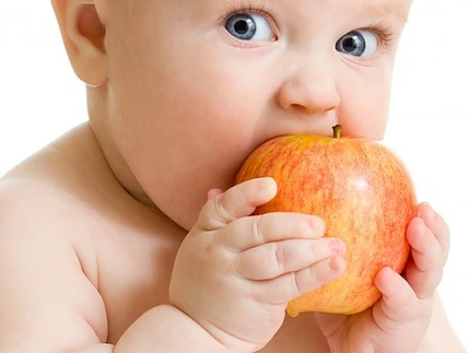 Ernährungsplan für Ihr Baby ab 8 Monaten