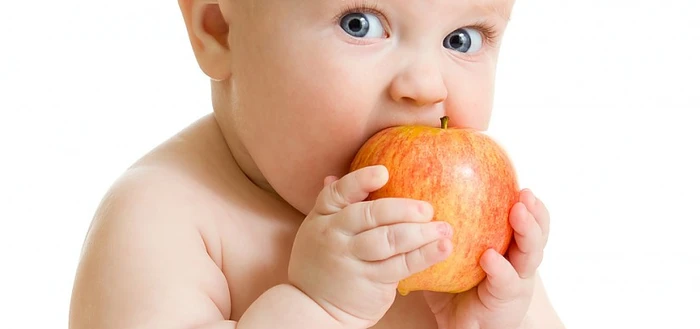 Ernährungsplan für Ihr Baby ab 8 Monaten